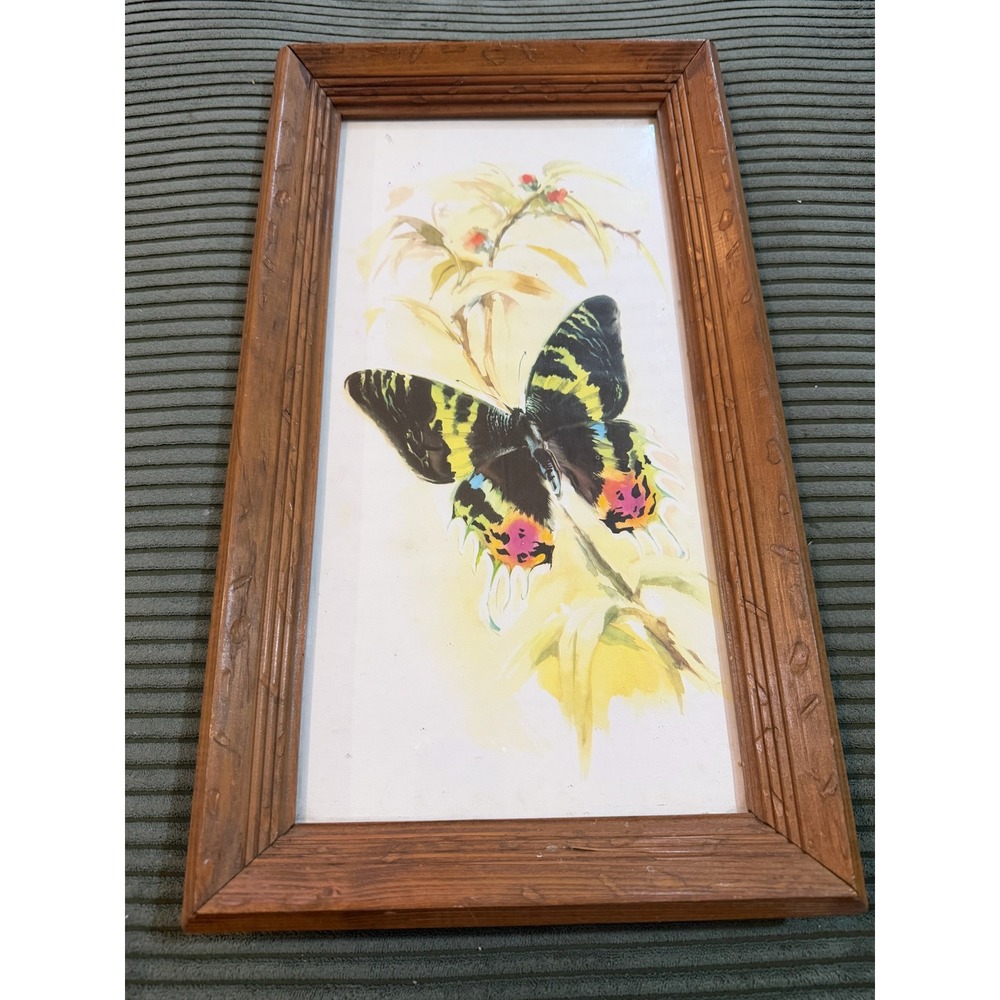 Vintage Framed Butterfly Art Print Watercolor Wall Decor